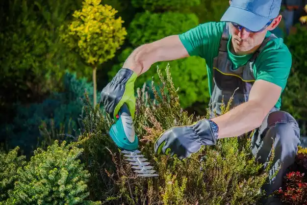 landscaping services Hancock